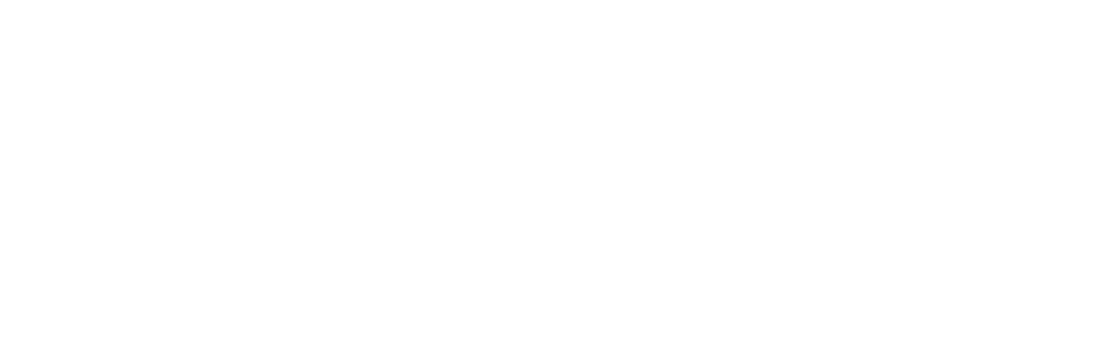 satlogo_white